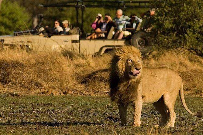 Five-Day Hwange NP, Chobe NP and Victoria Falls Combo - Who Will Love This Tour?
