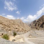 Five Emirates Full Day Tour from Dubai with Hotel Transfers - Who Will Love This Tour?