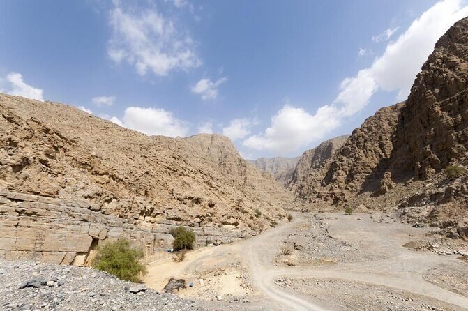 Five Emirates Full Day Tour from Dubai with Hotel Transfers - Who Will Love This Tour?