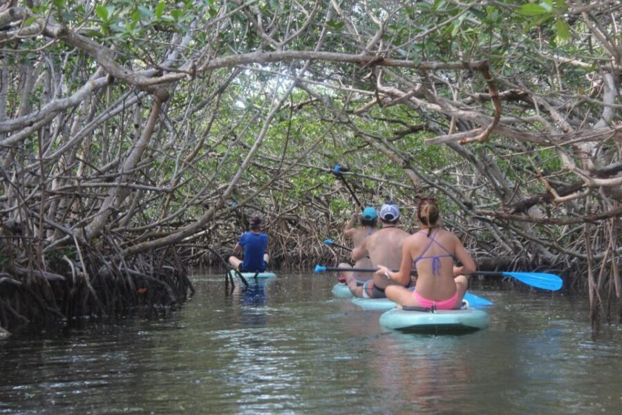 Florida Keys: Full-Day Kayak + Snorkel Coral Reef Adventure - What Makes This Tour Stand Out?