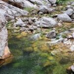 Fly Fishing in Cape Town for Five Hours - Practical Tips for Booking and Enjoying the Tour