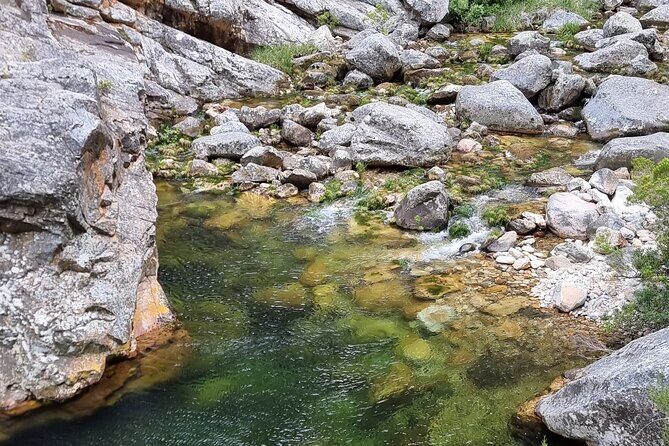 Fly Fishing in Cape Town for Five Hours - Practical Tips for Booking and Enjoying the Tour