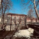 Forest, Castle & Fiskars Village Day Trip from Helsinki - Practical Insights and Considerations