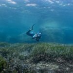 Formentera: 2-hour snorkel with marine biologist by boat - Practical Tips for a Smooth Experience