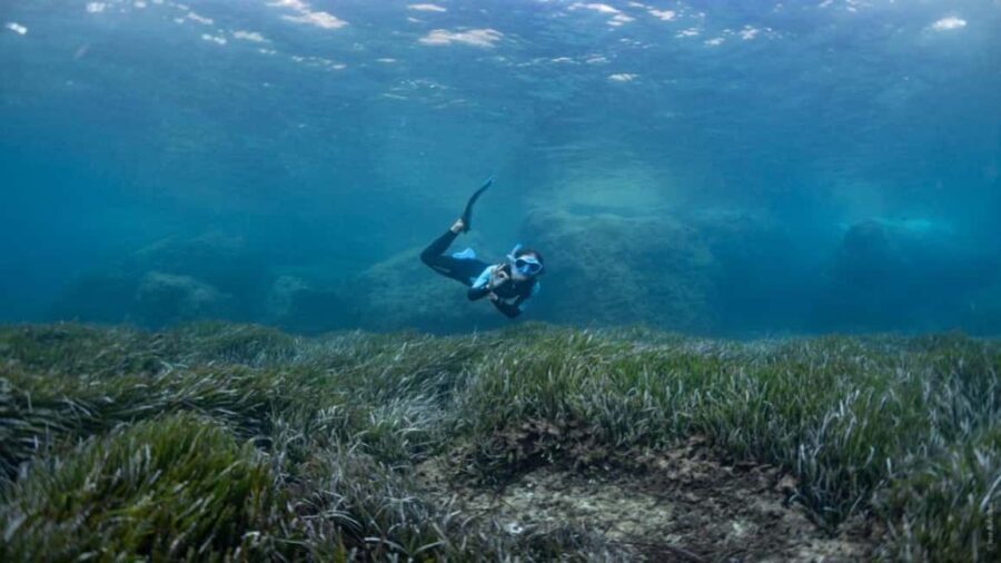 Formentera: 2-hour snorkel with marine biologist by boat - Practical Tips for a Smooth Experience