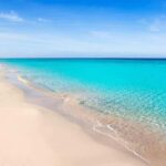 Formentera: discover our fast ferry + electric bike package. - What to Expect on the Island