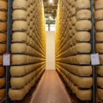 Formigine: Parmigiano tour with full tasting - The Value of This Experience