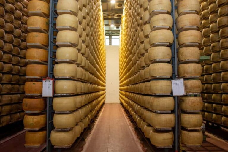 Formigine: Parmigiano tour with full tasting - The Value of This Experience