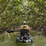 Fort Pierce: Prehistoric Preserve Kayak Tour - FAQ