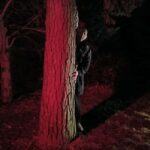 Frankfurt: Horror theater with city tour "Nosferatu's Resurrection" - Who Will Enjoy This Tour?