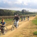 Franschhoek Family Cycle Tour - The Sum Up