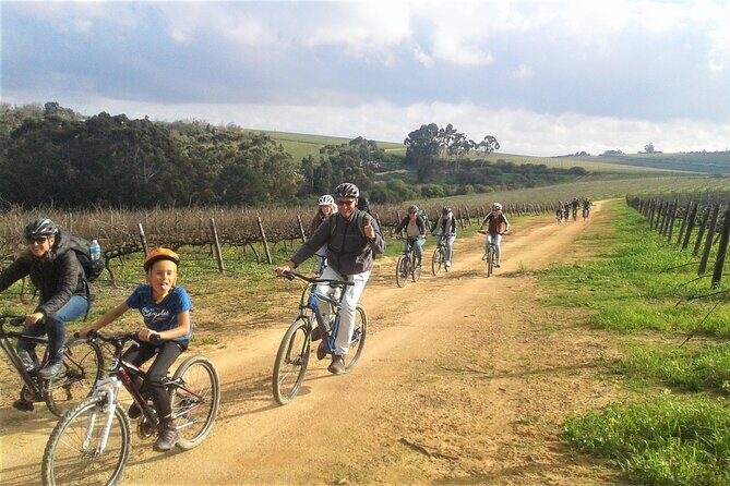 Franschhoek Family Cycle Tour - The Sum Up