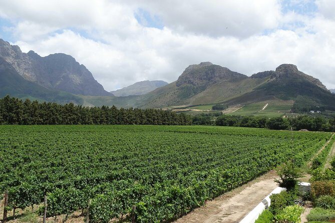 Franschhoek Half Day Winelands Mountain Bike Tour - Why You’ll Love This Tour