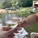 Franschhoek Shared E-Bike and Wine Tour - Who Will Love This Tour?