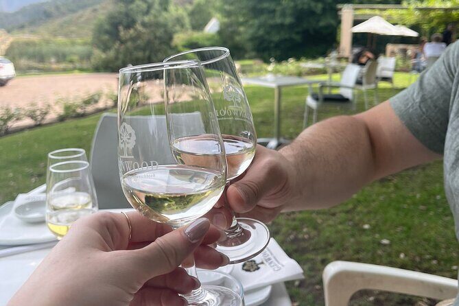 Franschhoek Shared E-Bike and Wine Tour - Who Will Love This Tour?