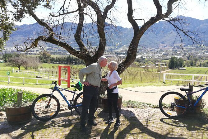Franschhoek Sip & Cycle Experience Full Day - Private Tour - Who Is This Tour Best For?