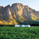 Franschhoek Wine Tram Hop-On Hop-Off Tour from Cape Town. - Authentic Experiences & What Travelers Say