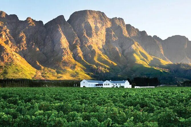 Franschhoek Wine Tram Hop-On Hop-Off Tour from Cape Town. - Authentic Experiences & What Travelers Say