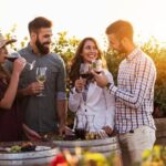 Franschhoek wine Tram & Stellenbosch Town Full day tour - What Makes This Tour Stand Out?