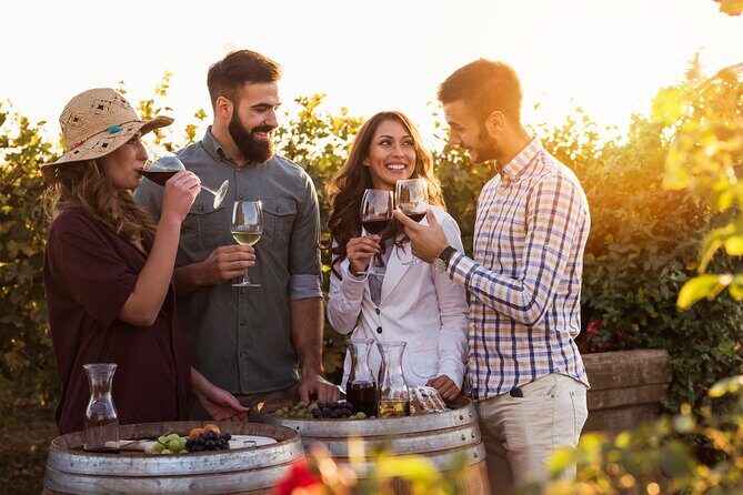 Franschhoek wine Tram & Stellenbosch Town Full day tour - What Makes This Tour Stand Out?