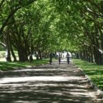 Franschhoek Winelands Luxury EBike Tour - The Real Experience: What Travelers Say