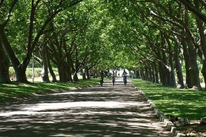 Franschhoek Winelands Luxury EBike Tour - The Real Experience: What Travelers Say