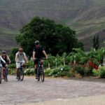 Franschhoek Winelands Meander © - Authentic Experiences and Review Highlights