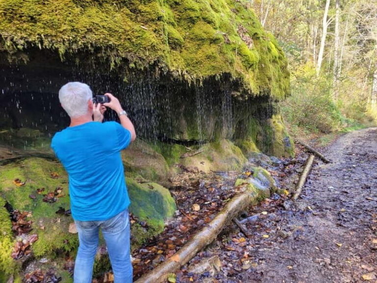 Freiburg: Private Black Forest Tour by car - What to Expect During the Tour