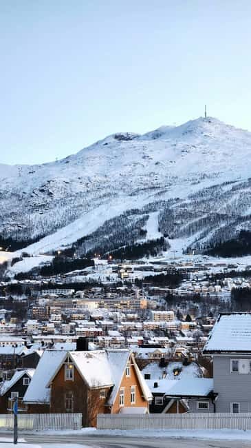 From Abisko: Narvik City and Fjord Day Trip - Who Would Love This Tour?