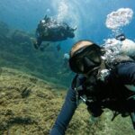 From Abu Dhabi: 2 Dives for Certified Divers in Fujairah - The Value and Pricing