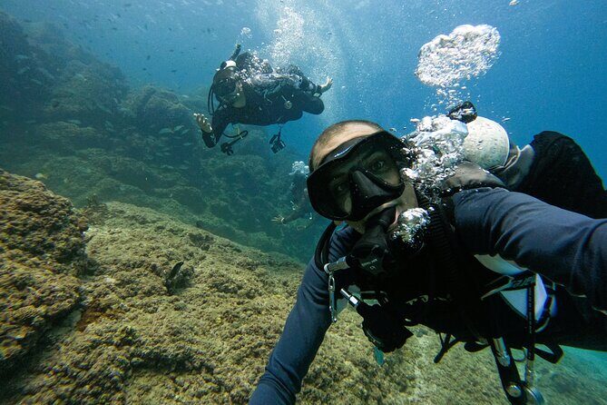 From Abu Dhabi: 2 Dives for Certified Divers in Fujairah - The Value and Pricing