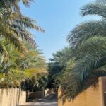 From Abu Dhabi Hotels : Private Al Ain Full-Day with Car and Driver - Who Is This Tour Perfect For?