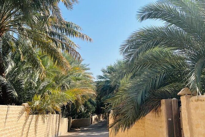 From Abu Dhabi Hotels : Private Al Ain Full-Day with Car and Driver - Who Is This Tour Perfect For?