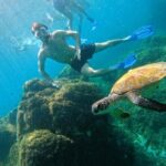 From Abu Dhabi: Snorkeling with turtles in Fujairah with BBQ - Why This Tour Provides Good Value