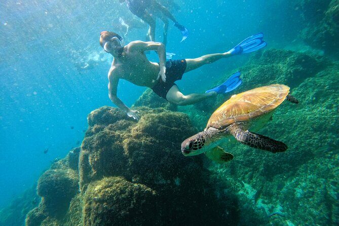 From Abu Dhabi: Snorkeling with turtles in Fujairah with BBQ - Why This Tour Provides Good Value