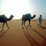 From Agadir 08 days round trip to southern Morocco. - Final Thoughts