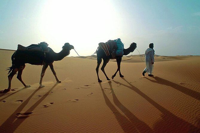 From Agadir 08 days round trip to southern Morocco. - Final Thoughts