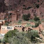From Agadir goats to the tree tour (land & people) - Exploring Taroudant