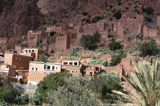 From Agadir goats to the tree tour (land & people) - Exploring Taroudant