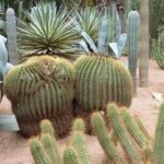 From Agadir: Marrakech Excursion Full-Day Trip - Exploring the Marrakech Itinerary in Detail