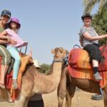 From Agadir or Port Trip to Small Sahara of Massa and Tiznit with Lunch - FAQs