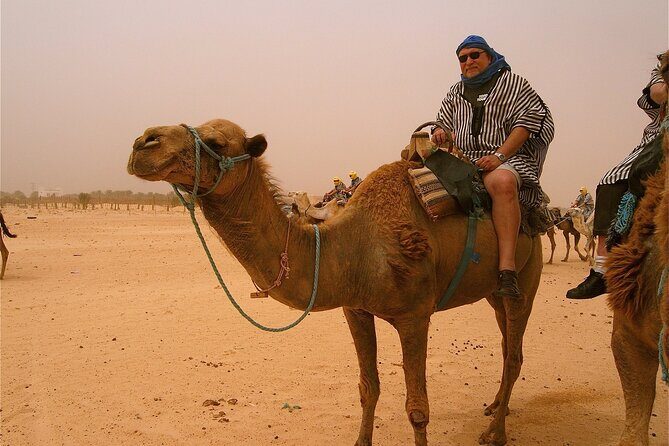 From Agadir or Taghazout or Port 2 Hours Camel Ride - Additional Details and Practical Tips