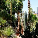 From Agadir: Private day trip to Marrakech - The Value of This Tour