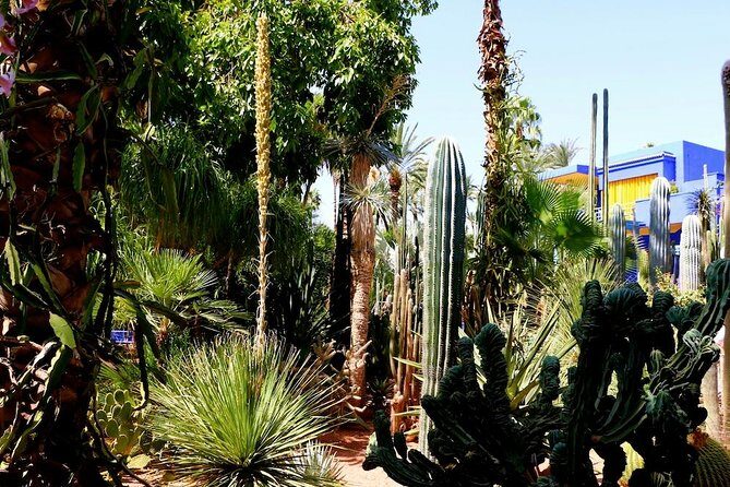 From Agadir: Private day trip to Marrakech - The Value of This Tour