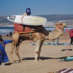 From Agadir: Taghazout Full-Day Surf Lesson with Lunch & Transfer - Detailed Breakdown of the Day