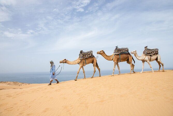 From Agadir/Taghazout: Sahara Sand Dunes  Morning or Sunset Tour - Timing and the Best Light