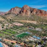 From Alicante: Elche Half-Day of Palms, History & Heritage - Final Thoughts