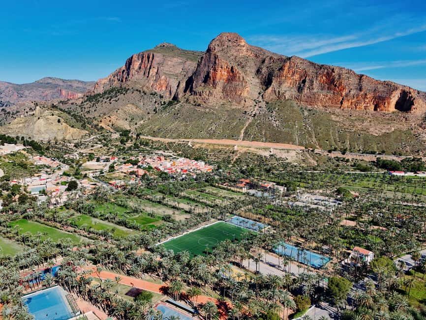 From Alicante: Elche Half-Day of Palms, History & Heritage - Final Thoughts