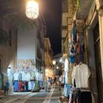 From Almuñécar: Granada Day Trip with Alhambra and Cathedral - Who Is This Tour Best For?
