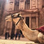From Amman | Dead sea and Petra in one day | Admission Fees Included - The Itinerary: A Day Packed with Wonders